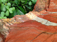 Natural Red Jasper Plate Specimen x 1 From Northern Cape