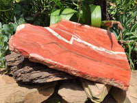 Natural Red Jasper Plate Specimen x 1 From Northern Cape