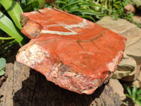 Natural Red Jasper Plate Specimen x 1 From Northern Cape