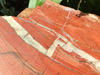 Natural Red Jasper Plate Specimen x 1 From Northern Cape