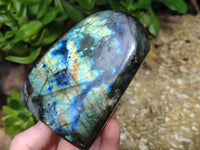 Polished Labradorite Standing Free Forms x 3 From Tulear, Madagascar