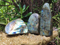 Polished Labradorite Standing Free Forms x 3 From Tulear, Madagascar