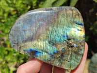 Polished Labradorite Standing Free Forms x 3 From Tulear, Madagascar