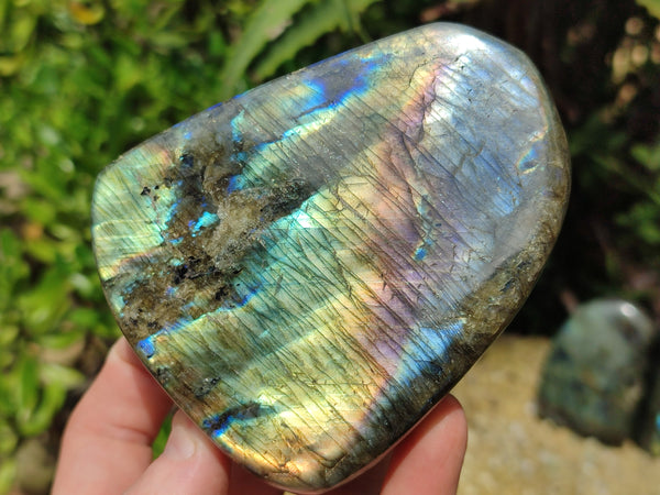 Polished Labradorite Standing Free Forms x 3 From Tulear, Madagascar