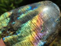 Polished Labradorite Standing Free Forms x 3 From Tulear, Madagascar