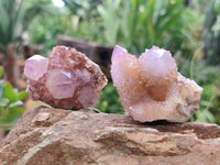 Natural Ametrine Spirit Quartz Clusters x 30 From Boekenhouthoek, South Africa