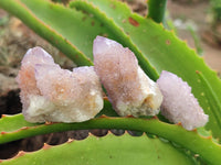 Natural Ametrine Spirit Quartz Clusters x 30 From Boekenhouthoek, South Africa