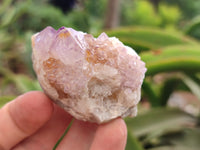 Natural Ametrine Spirit Quartz Clusters x 30 From Boekenhouthoek, South Africa