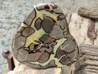 Polished Septerye Slices x 2 From Mahajanga, Madagascar