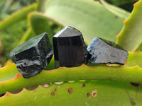 Natural Schorl Black Tourmaline Specimens x 20 From Erongo, Namibia