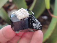 Natural Schorl Black Tourmaline Specimens x 20 From Erongo, Namibia