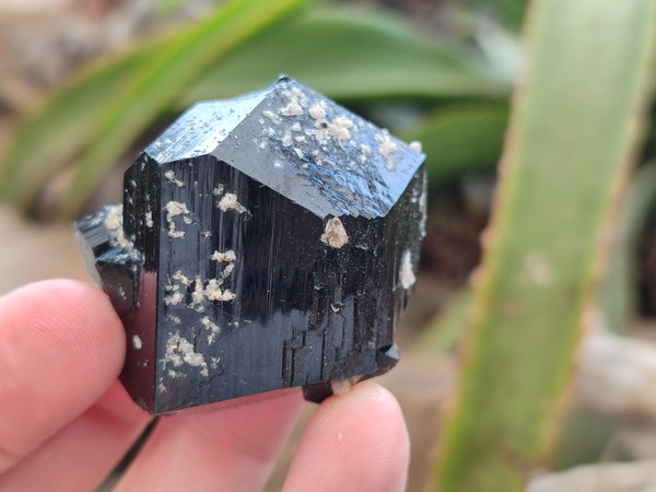 Natural Schorl Black Tourmaline Specimens x 20 From Erongo, Namibia