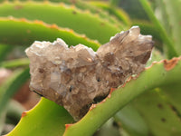 Natural Smokey Quartz Crystals x 24 From Erongo, Namibia