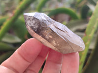 Natural Smokey Quartz Crystals x 24 From Erongo, Namibia