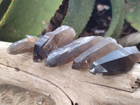 Natural Smokey Quartz Crystals x 24 From Erongo, Namibia