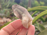 Natural Smokey Quartz Crystals x 24 From Erongo, Namibia