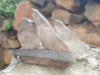 Natural Smokey Quartz Crystals x 24 From Erongo, Namibia