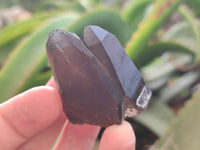 Natural Smokey Quartz Crystals x 24 From Erongo, Namibia