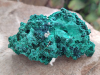 Natural Silky Malachite Specimens x 6 From Kasompe, Congo