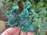 Natural Silky Malachite Specimens x 6 From Kasompe, Congo