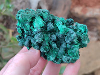 Natural Silky Malachite Specimens x 6 From Kasompe, Congo