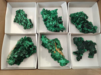 Natural Silky Malachite Specimens x 6 From Kasompe, Congo