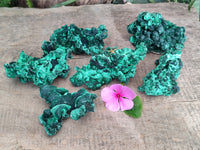 Natural Silky Malachite Specimens x 6 From Kasompe, Congo