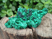 Natural Silky Malachite Specimens x 6 From Kasompe, Congo