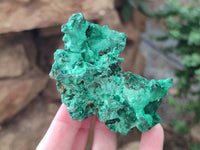 Natural Silky Malachite Specimens x 6 From Kasompe, Congo