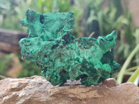 Natural Silky Malachite Specimens x 6 From Kasompe, Congo