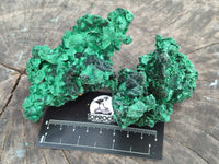 Natural Silky Malachite Specimens x 6 From Kasompe, Congo