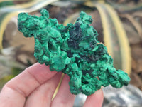 Natural Silky Malachite Specimens x 6 From Kasompe, Congo