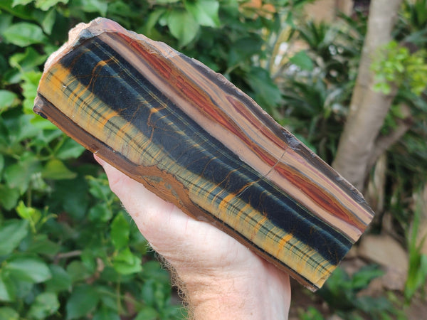 Polished Tigers Eye Specimens x 2 From Prieska, South Africa