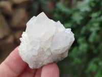 Natural Spirit Quartz Clusters x 12 From Boekenhouthoek, South Africa