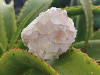 Natural Spirit Quartz Clusters x 12 From Boekenhouthoek, South Africa