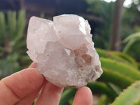 Natural Spirit Quartz Clusters x 12 From Boekenhouthoek, South Africa