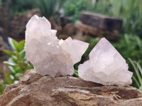 Natural Spirit Quartz Clusters x 12 From Boekenhouthoek, South Africa