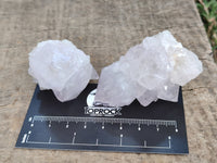 Natural Spirit Quartz Clusters x 12 From Boekenhouthoek, South Africa