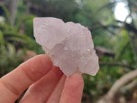 Natural Spirit Quartz Clusters x 12 From Boekenhouthoek, South Africa