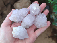 Natural Spirit Quartz Clusters x 12 From Boekenhouthoek, South Africa