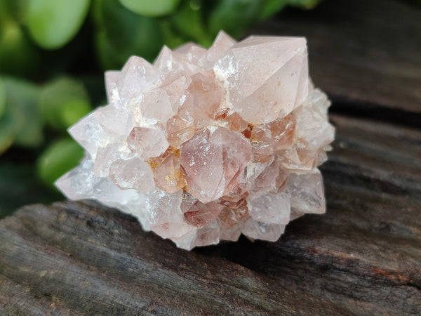 Natural Spirit Quartz Clusters x 12 From Boekenhouthoek, South Africa