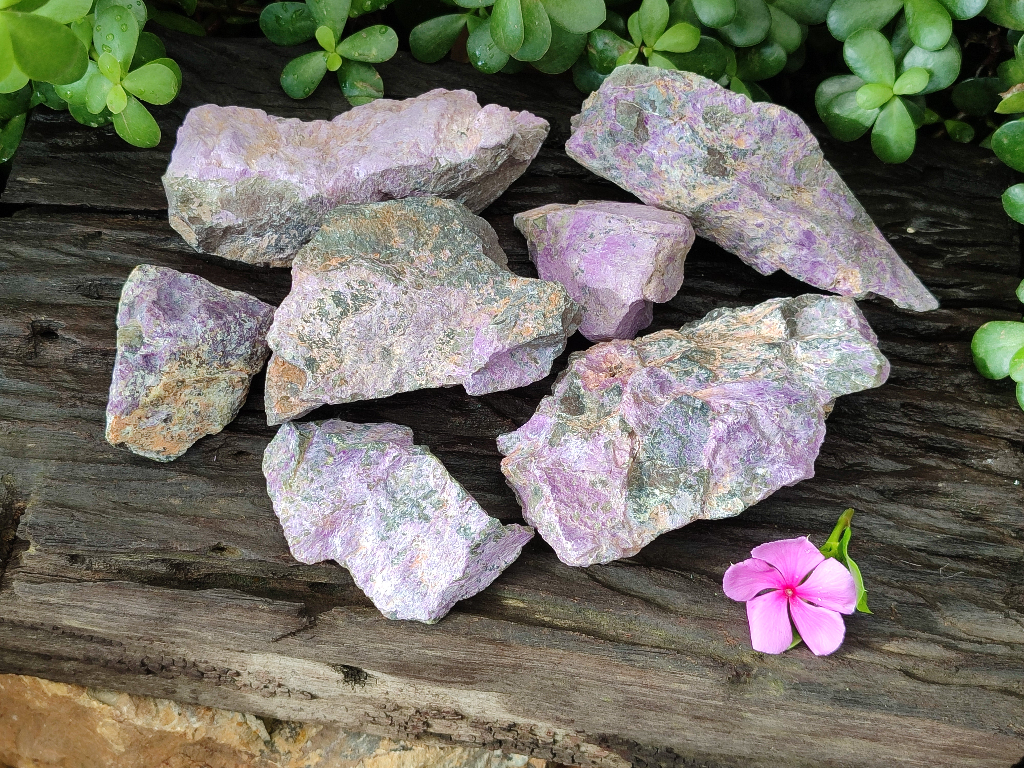 Natural Stichtite Cobbed Specimens x 7 From Barberton, South Africa