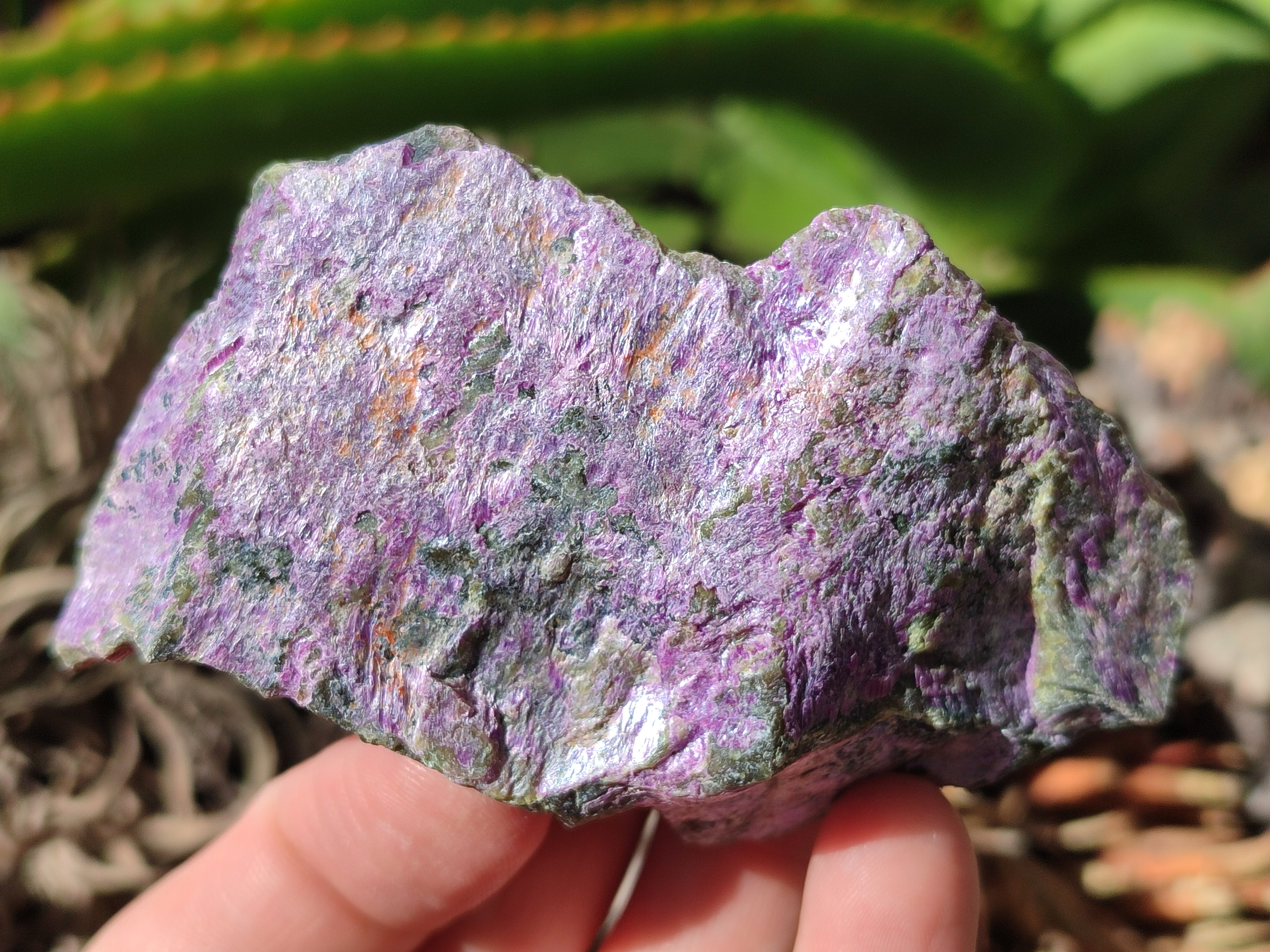 Natural Stichtite Cobbed Specimens x 7 From Barberton, South Africa