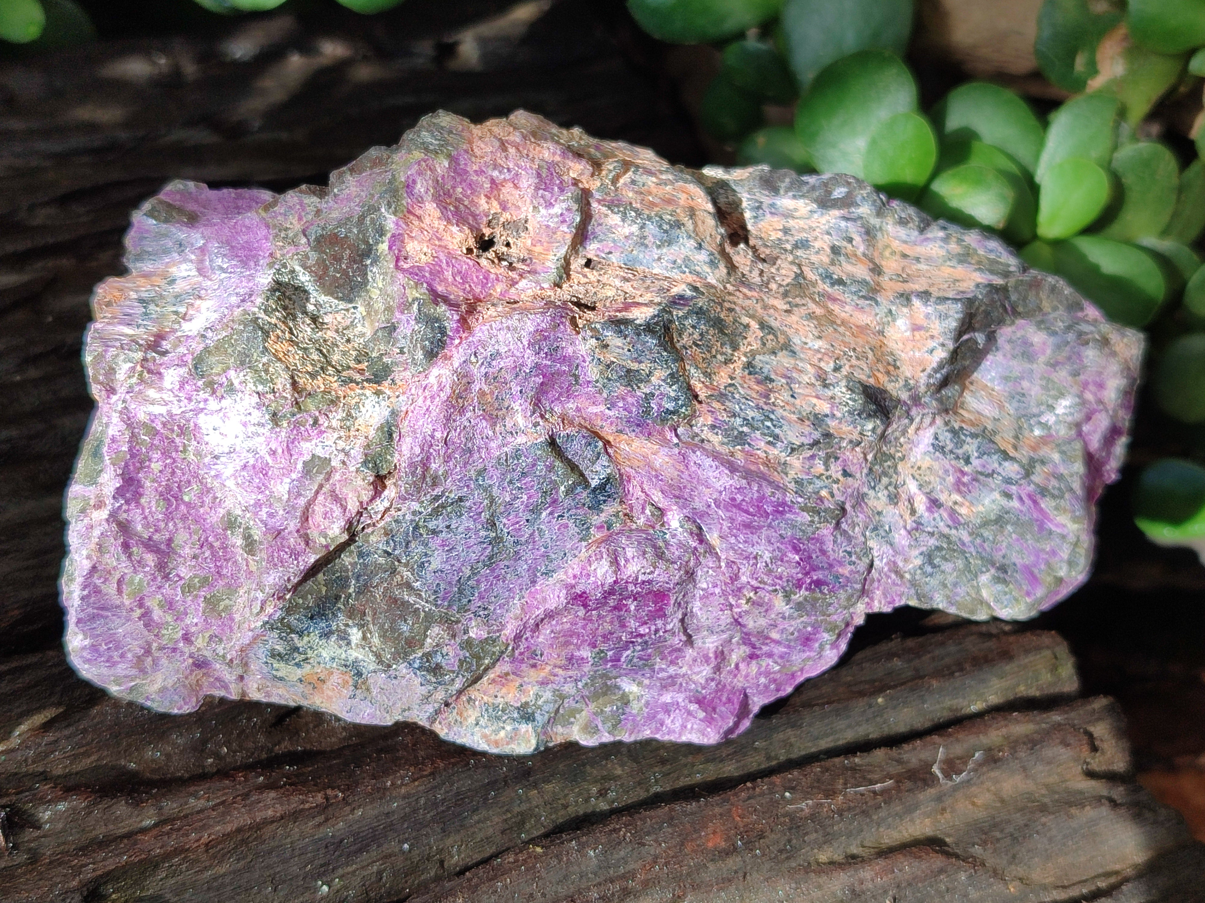 Natural Stichtite Cobbed Specimens x 7 From Barberton, South Africa