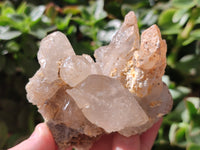 Natural Drusy Quartz Coated Calcite Pseudomorph Specimens x 6 From Alberts Mountain, Lesotho