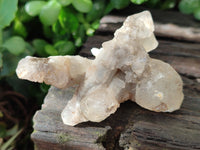 Natural Drusy Quartz Coated Calcite Pseudomorph Specimens x 6 From Alberts Mountain, Lesotho