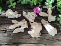 Natural Drusy Quartz Coated Calcite Pseudomorph Specimens x 6 From Alberts Mountain, Lesotho