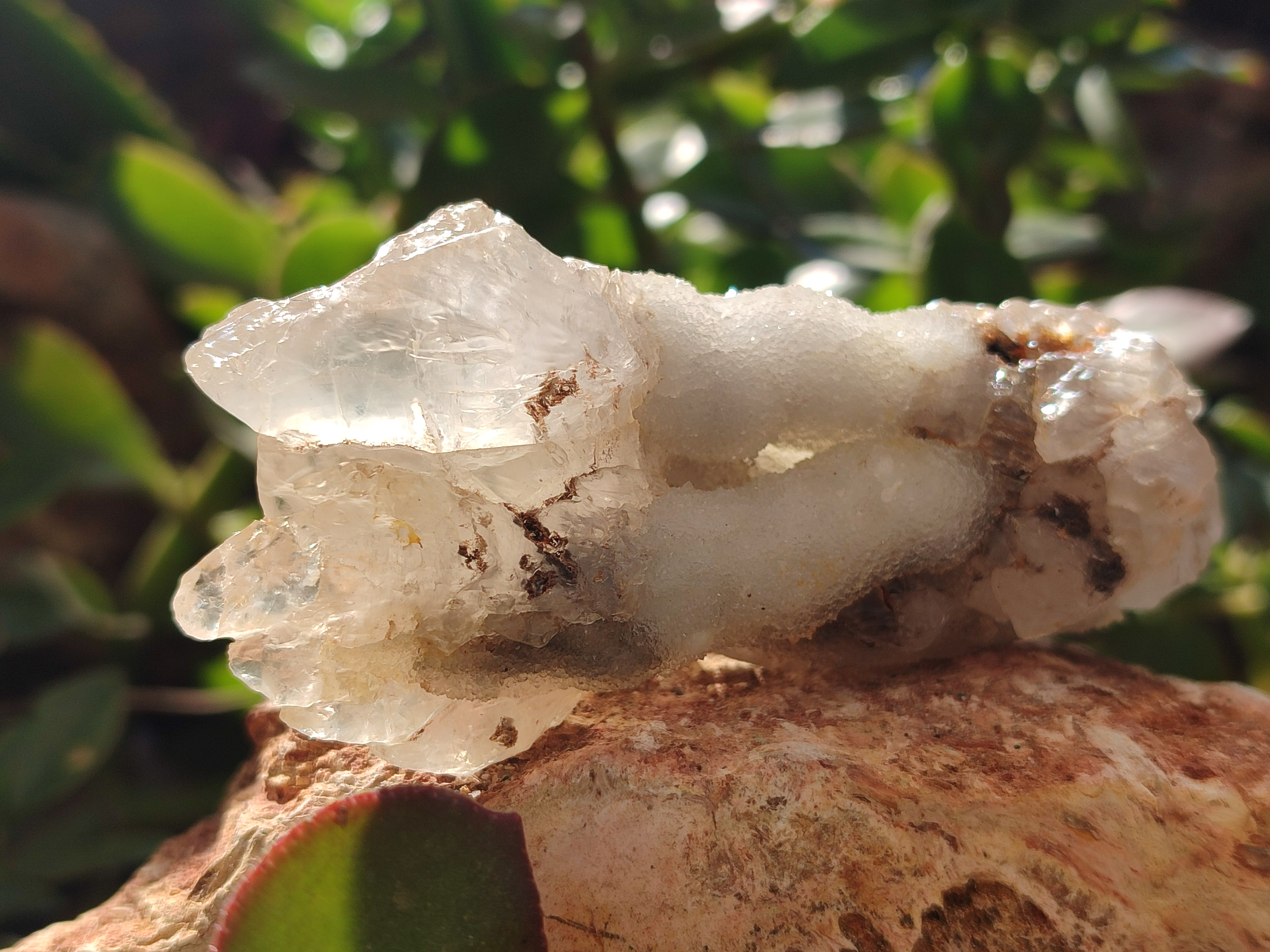 Natural Drusy Quartz Coated Calcite Pseudomorph Specimens x 6 From Alberts Mountain, Lesotho