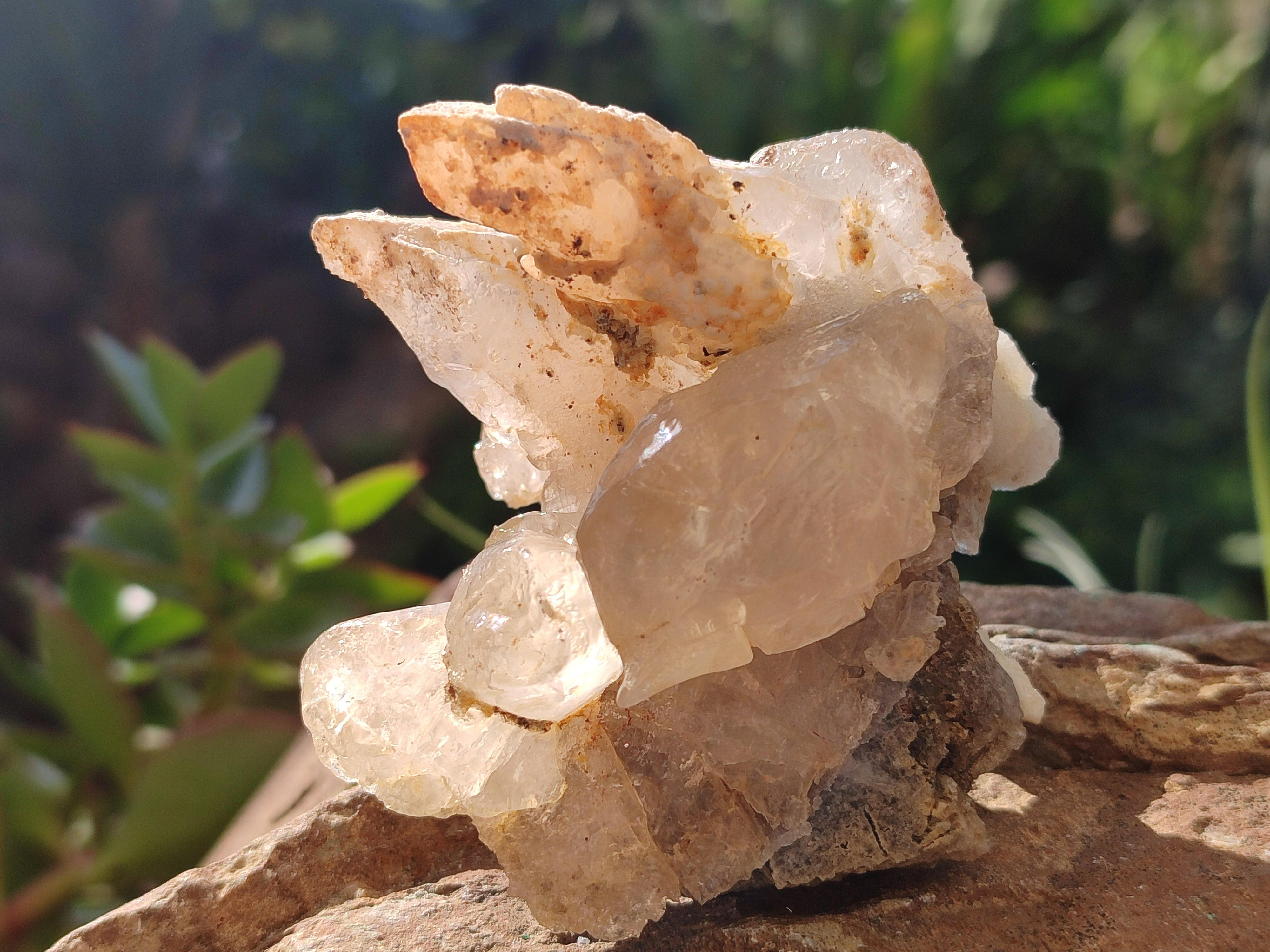 Natural Drusy Quartz Coated Calcite Pseudomorph Specimens x 6 From Alberts Mountain, Lesotho