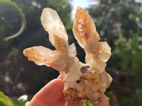 Natural Drusy Quartz Coated Calcite Pseudomorph Specimens x 6 From Alberts Mountain, Lesotho